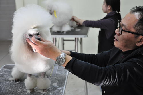 宠物驯养师